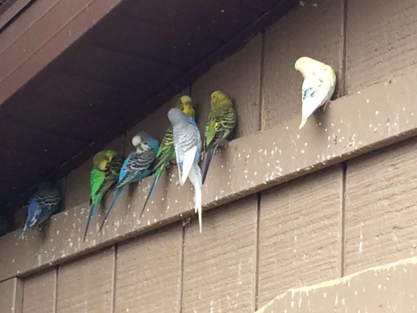Washington Park Zoo